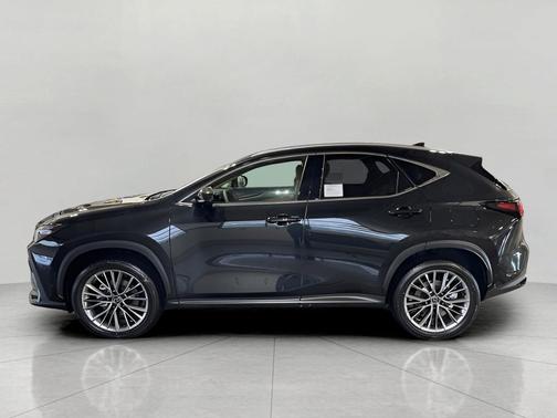 2025 Lexus NX 350h Luxury