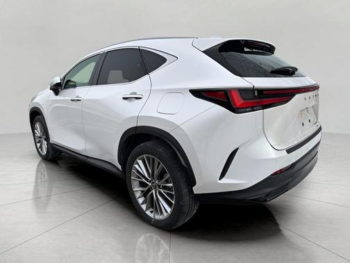 2025 Lexus NX 350h Luxury
