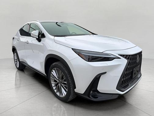 2025 Lexus NX 350h Luxury