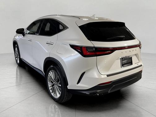 2025 Lexus NX 350h Luxury