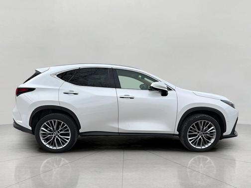 2025 Lexus NX 350h Luxury