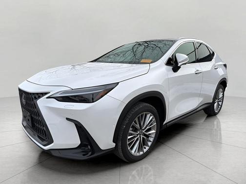 2025 Lexus NX 350h Luxury