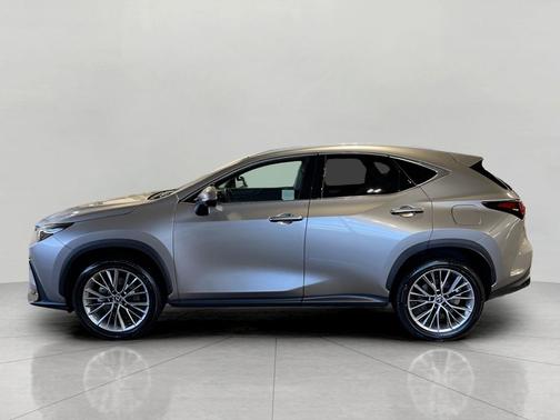 2025 Lexus NX 350h Premium