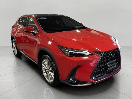 2024 Lexus NX 350h Luxury