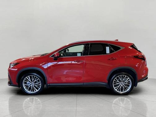 2024 Lexus NX 350h Luxury