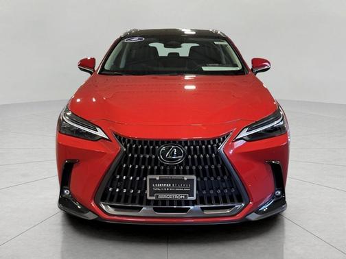 2024 Lexus NX 350h Luxury