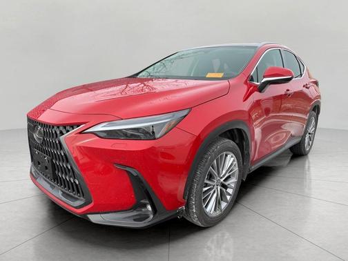 2024 Lexus NX 350h Luxury