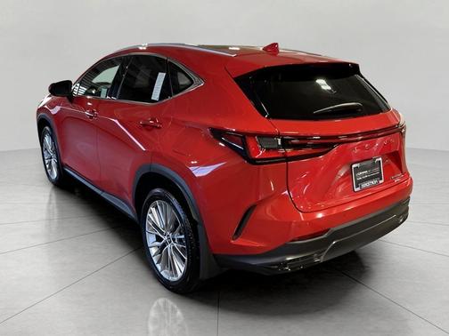 2024 Lexus NX 350h Luxury