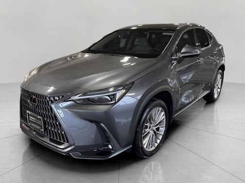 2025 Lexus NX 350h Luxury