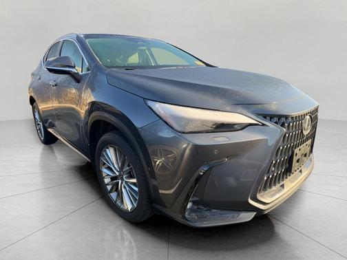 2025 Lexus NX 350h Luxury