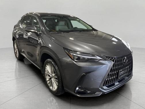 2025 Lexus NX 350h Luxury