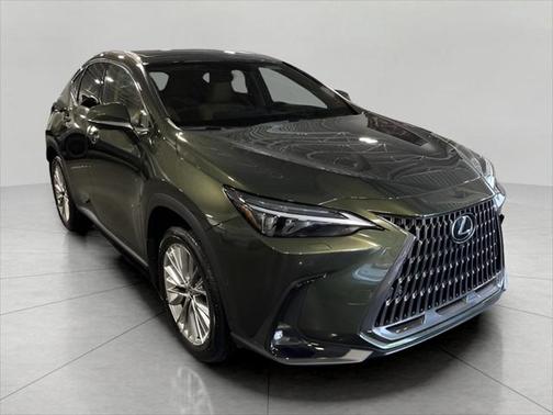 2025 Lexus NX 350h Luxury