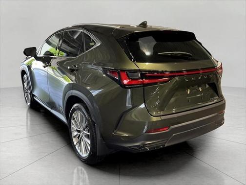 2025 Lexus NX 350h Luxury