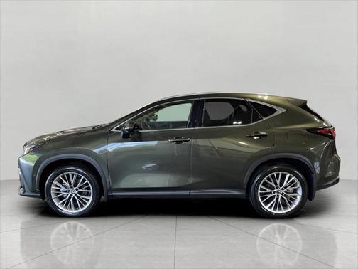 2025 Lexus NX 350h Luxury