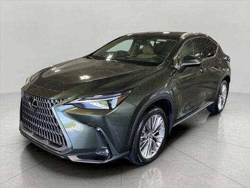2025 Lexus NX 350h Luxury