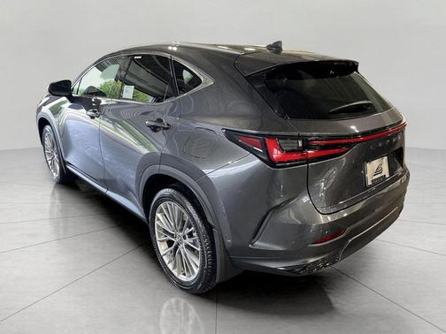 Cloudburst Gray 2026 Lexus NX 350h Luxury