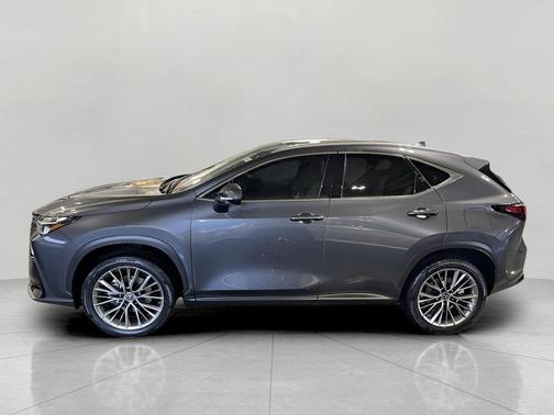 2022 Lexus NX 350h Premium