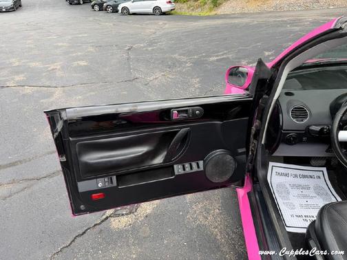 Pink 2009 Volkswagen New Beetle SE
