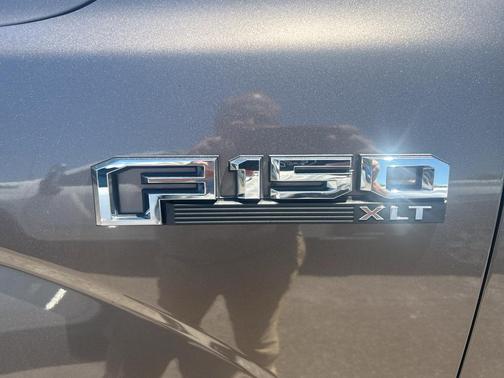 Stone Gray Metallic 2019 Ford F-150 XLT