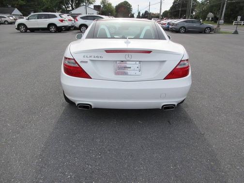 2016 Mercedes-Benz SLK-Class SLK300 Roadster