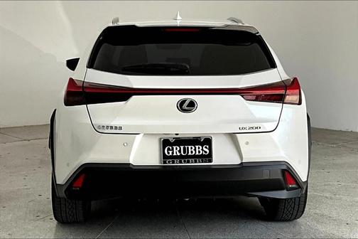 2019 Lexus UX 200 