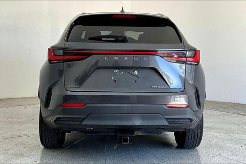 Cloudburst Gray 2023 Lexus NX 250 Base