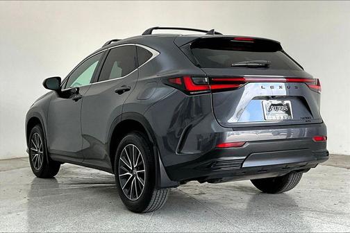 Cloudburst Gray 2025 Lexus NX 350 Premium