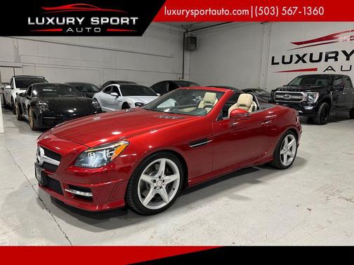 2016 Mercedes-Benz SLK-Class SLK300 Roadster