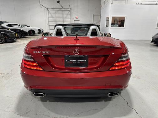 2016 Mercedes-Benz SLK-Class SLK300 Roadster