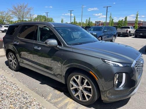 Rainforest 2022 Hyundai PALISADE Limited