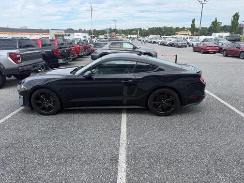 SHADOW BLACK 2020 Ford Mustang GT PREMIUM