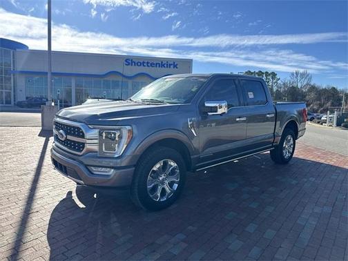 2021 Ford F-150 Platinum