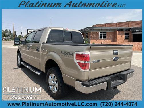 Gold 2013 Ford F-150 XLT