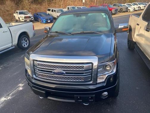 2013 Ford F-150 Platinum