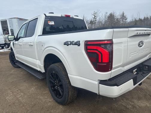 2025 Ford F-150 Platinum