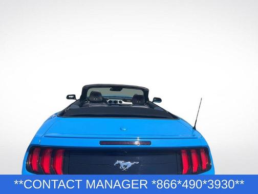 Grabber Blue 2023 Ford Mustang EcoBoost Premium