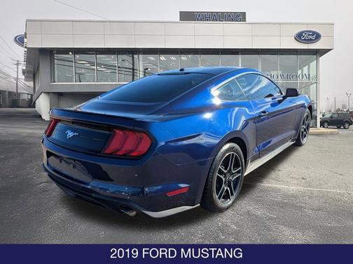2019 Ford Mustang 