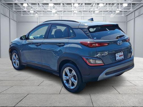 Cactus Fern 2022 Hyundai KONA SEL