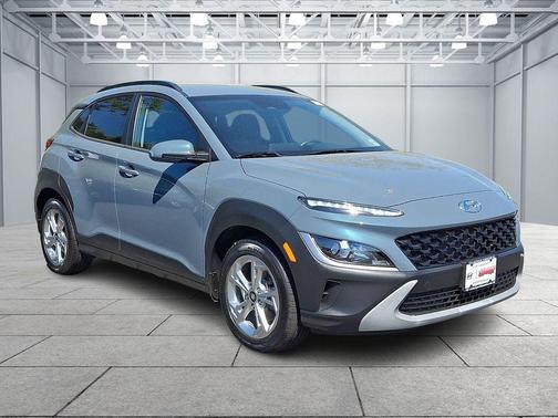 Cactus Fern 2022 Hyundai KONA SEL