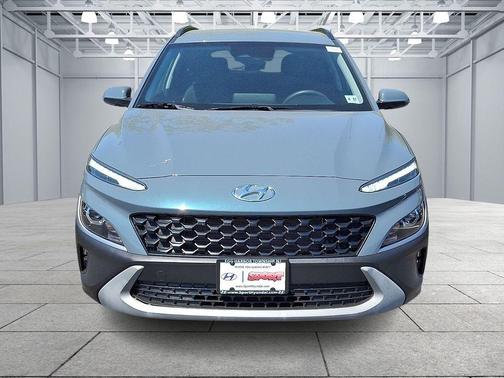 Cactus Fern 2022 Hyundai KONA SEL