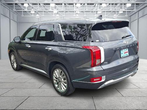 Rainforest 2020 Hyundai PALISADE Limited
