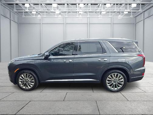 Rainforest 2020 Hyundai PALISADE Limited