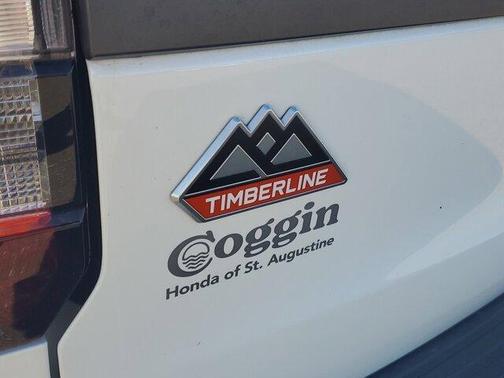 2023 Ford Expedition Timberline