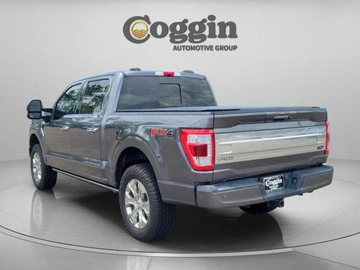 Gray Metallic 2021 Ford F-150 Platinum