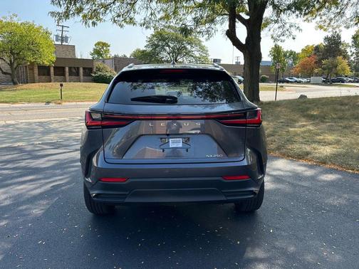 2023 Lexus NX 250 Base