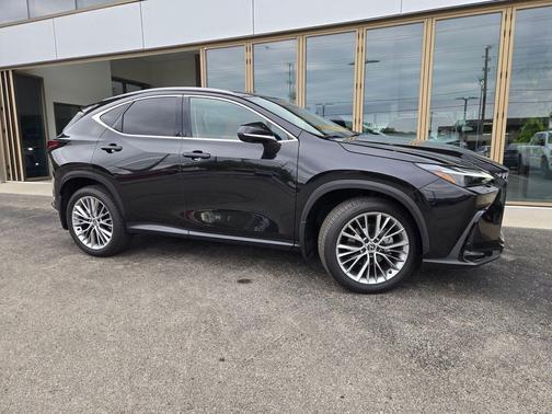 Caviar 2024 Lexus NX 350 350 Luxury