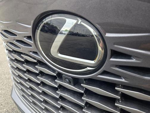 Nebula Gray Pearl 2023 Lexus RX 350 Luxury