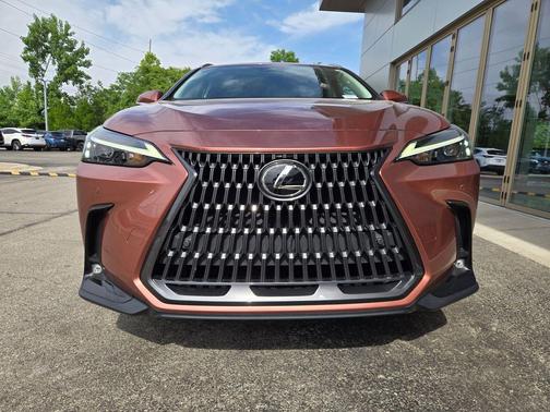 Copper Crest 2025 Lexus NX 350 350 Base