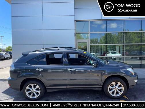 Smoky Granite Mica 2009 Lexus RX 350 Base