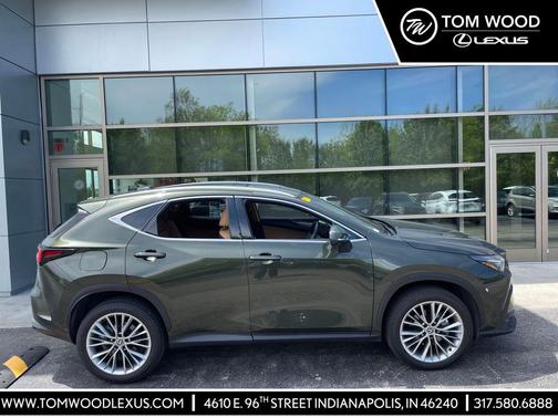 Nori Green Pearl 2025 Lexus NX 350 350 Premium